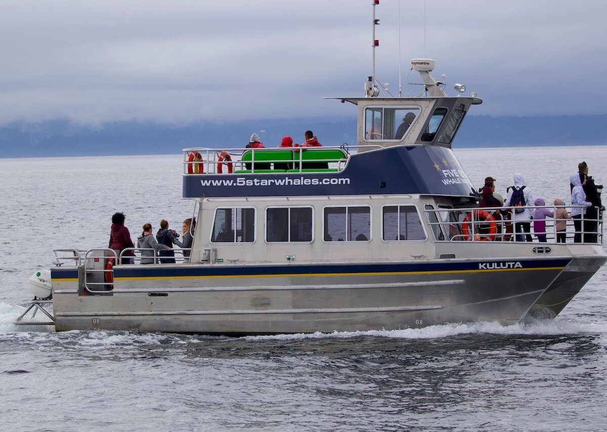 FIVE STAR WHALE WATCHING (Victoria): Ce qu'il faut savoir