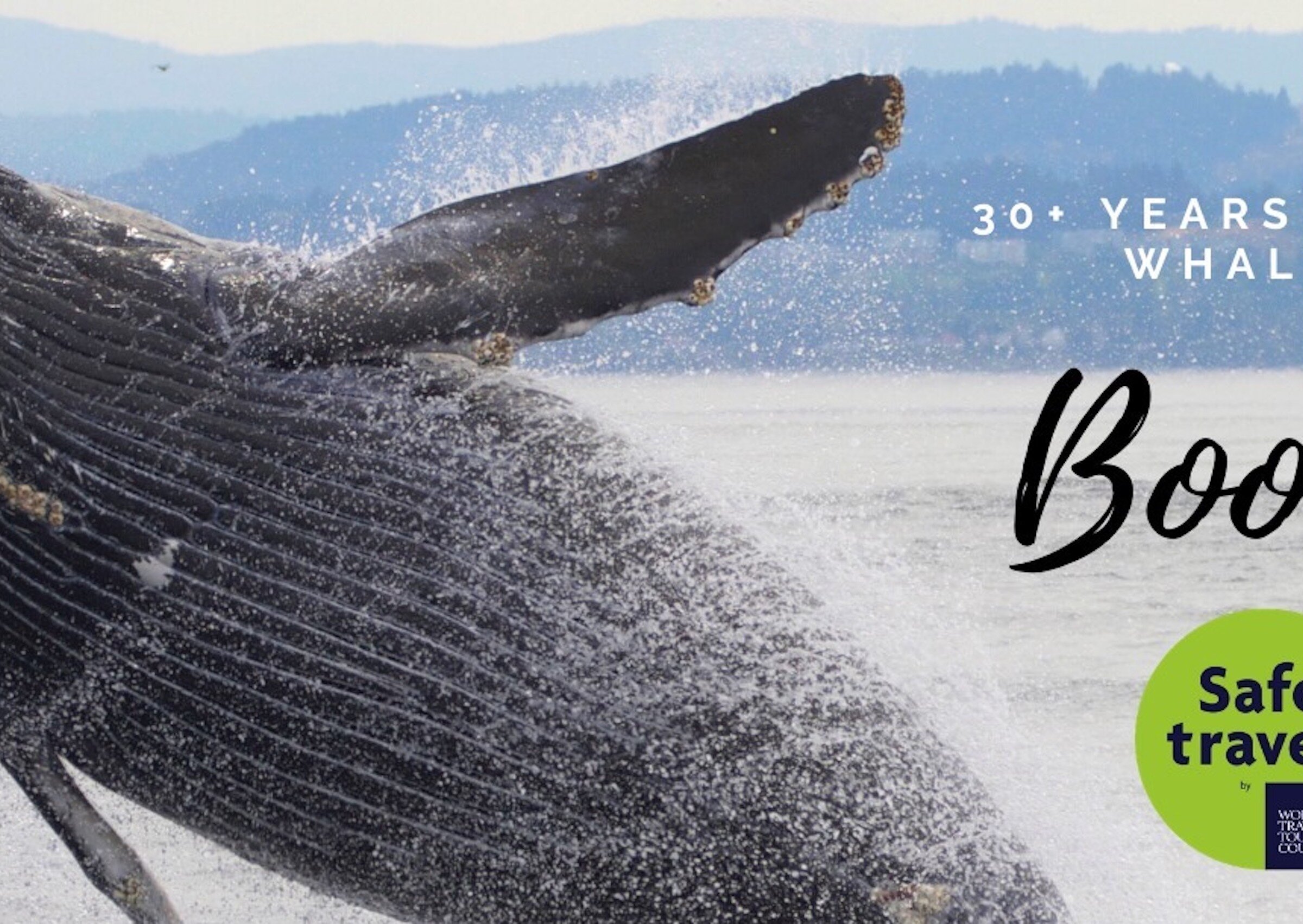 Five Star Whale Watching (Victoria) - All You Need to Know BEFORE You Go