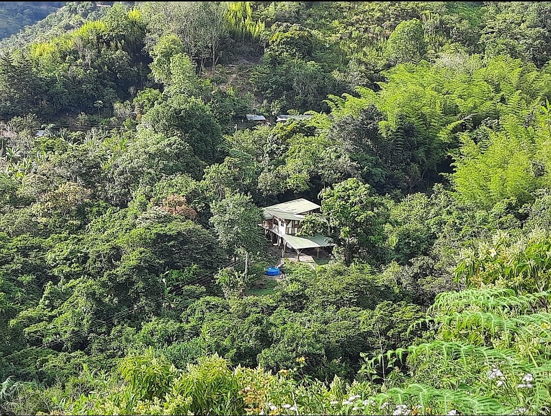 Colibamboo Ecolodge Desde 2465 Pacho Colombia Opiniones Y Comentarios Casa De Huéspedes 7752