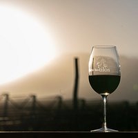 El vino, consideramos que cada botella, cada copa de vino es una experiencia única e intransferible, es la bebida que nuestros comensales mas elijen para cruzar historias, anécdotas y una experiencia gastronómica inigualable.