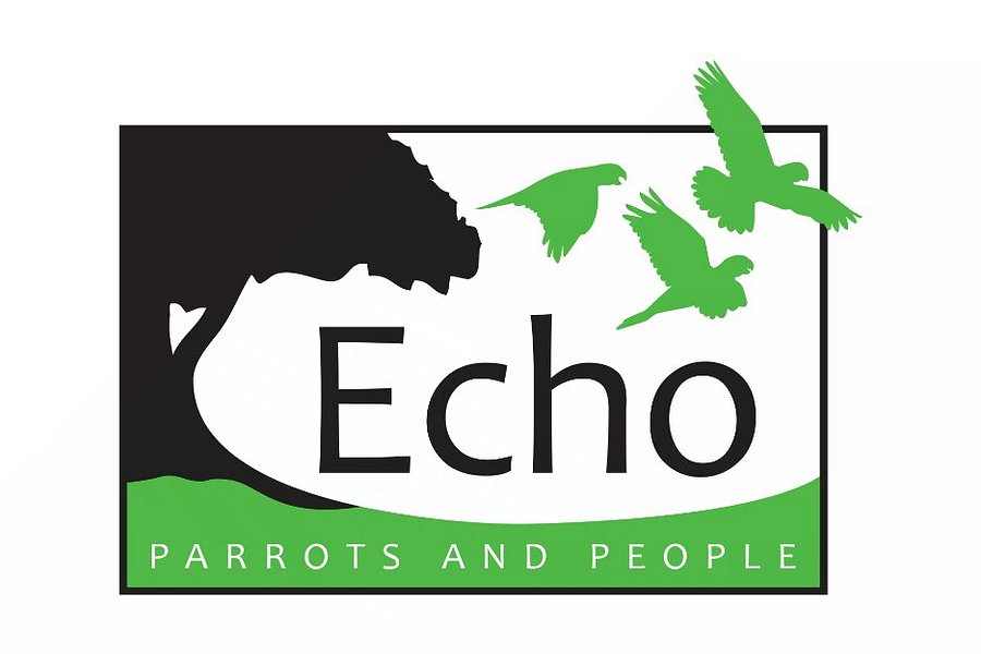 Echo Parrots and People image