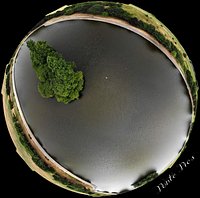 Ariel shot of main lake