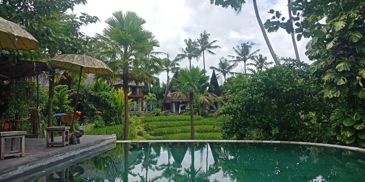 Menzel Ubud $192 - Updated 2024 Prices & Hotel Reviews - Peliatan 