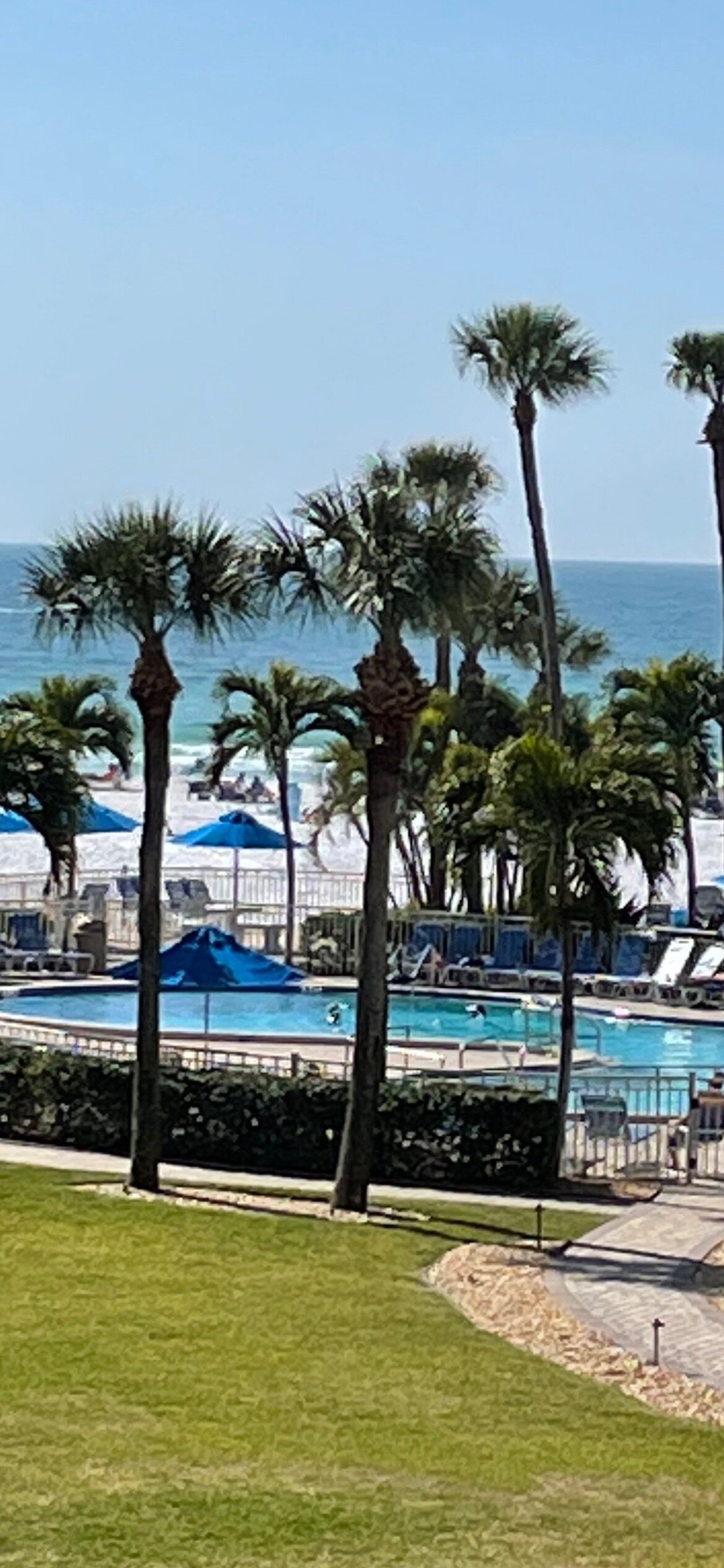 Sarasota Surf And Racquet Club Condominium Reviews Fl 6532