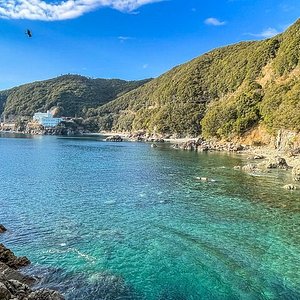 德岛县最佳景点玩乐 Tripadvisor 德岛县最佳景点玩乐 Tripadvisor