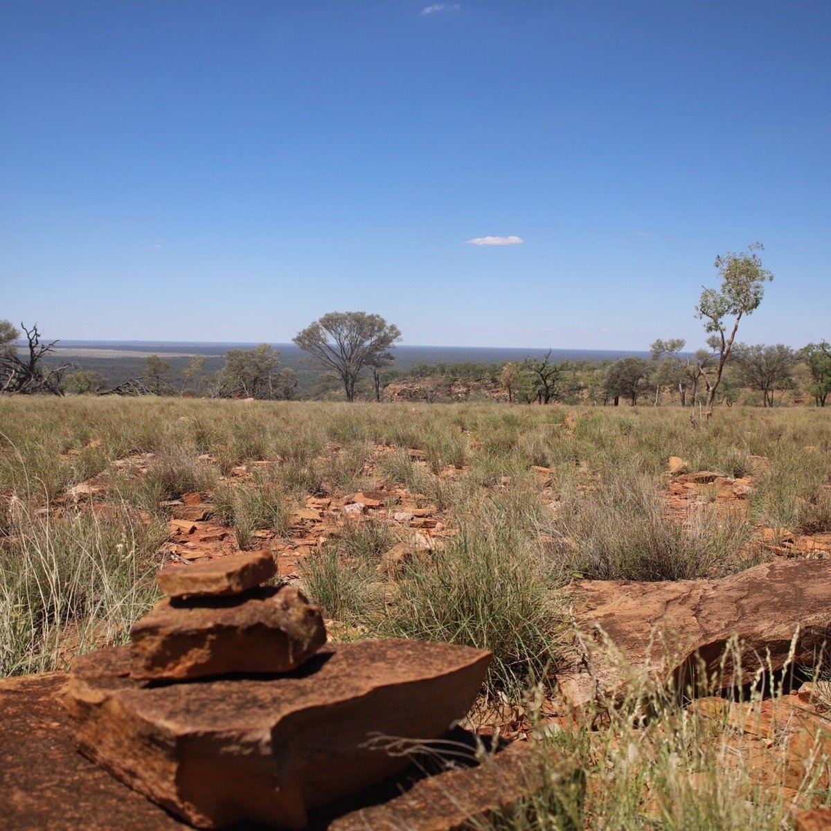 Mount Oxley (Bourke): All You Need to Know BEFORE You Go