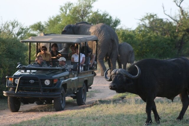 Tshukudu Game Lodge (Hoedspruit) - Lohnt es sich? Aktuell für 2024 (Mit ...