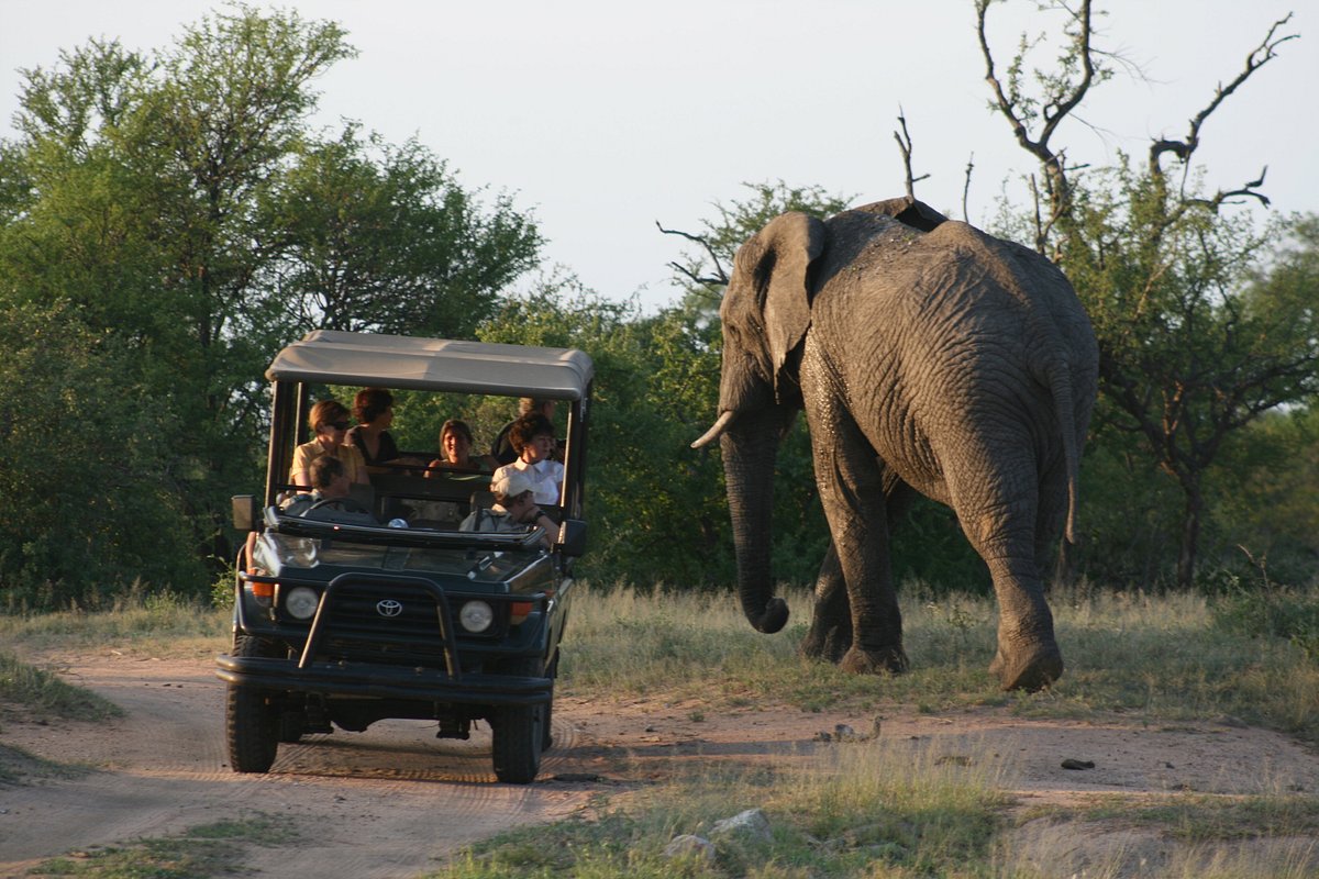 Tshukudu Game Lodge (Hoedspruit) - 2023 Qué saber antes de ir - Lo más  comentado por la gente - Tripadvisor