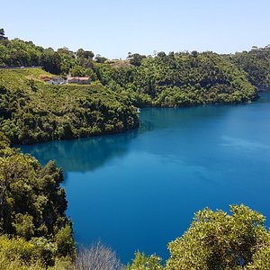 A short stroll to the Blue Lake - Mount Gambier's best-known natural wonder.