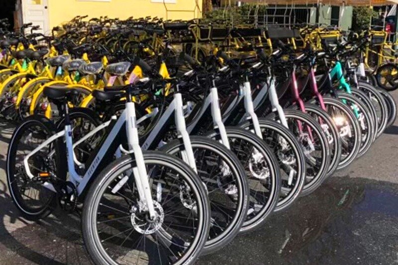 cape york bike tours price