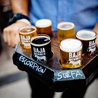 ¿No sabes cuál escoger? Prueba un sampler