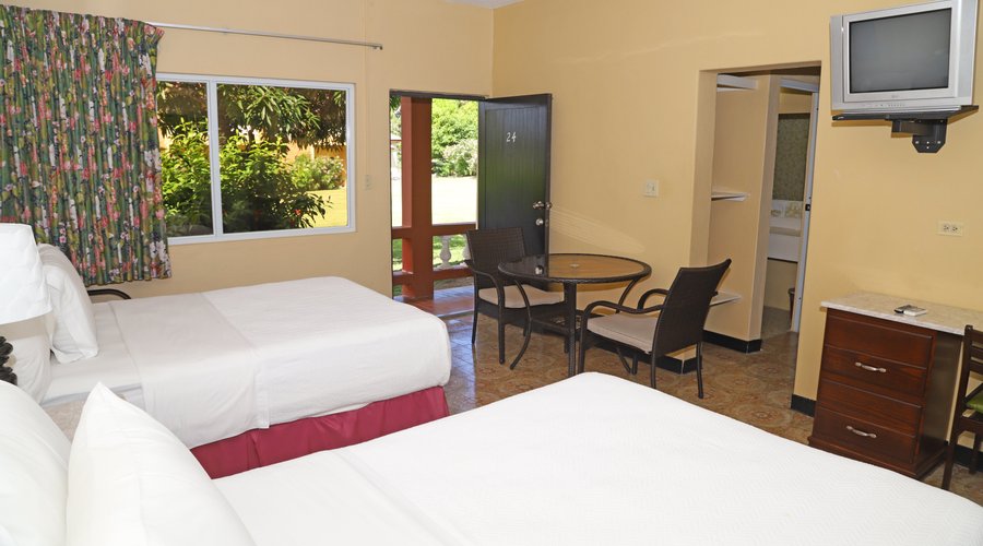 Room View
