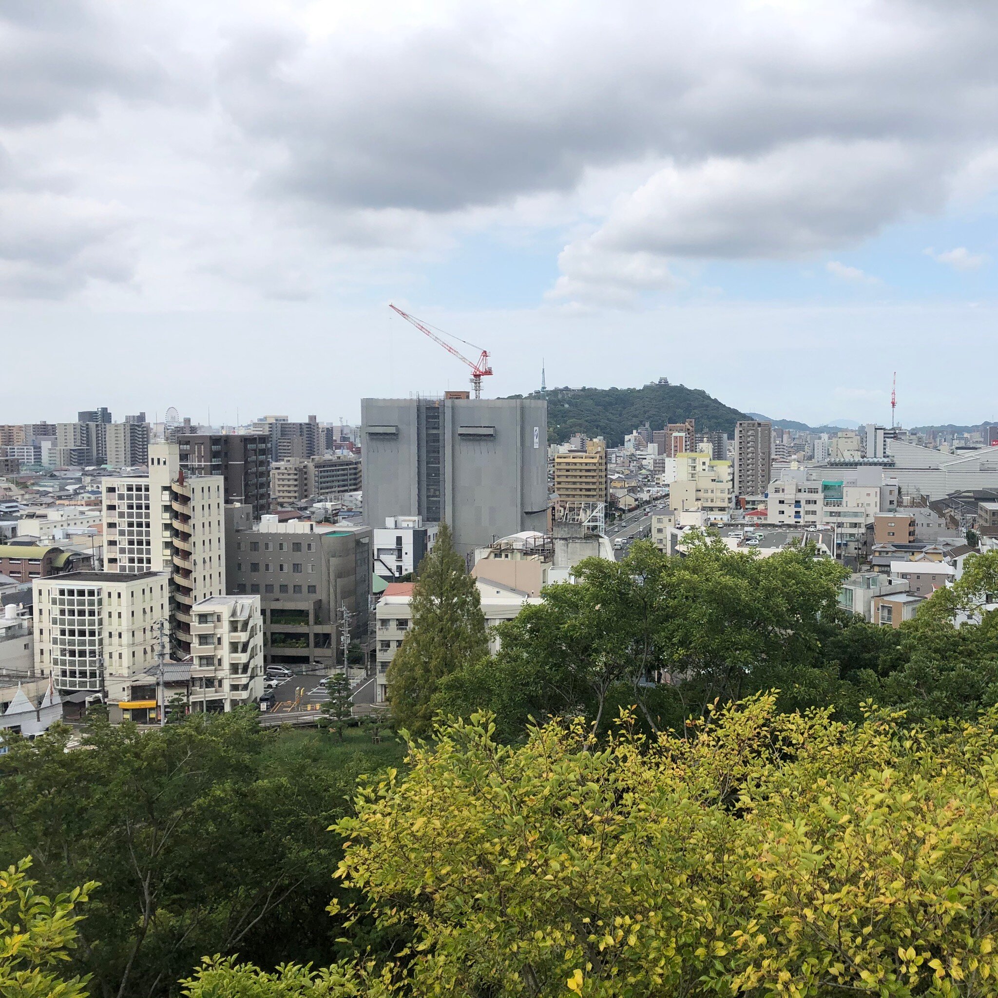 2025年 道後公園展望台 - 出発前に知っておくべきことすべて