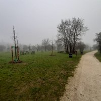 uno scorcio del giardino con il camminamento