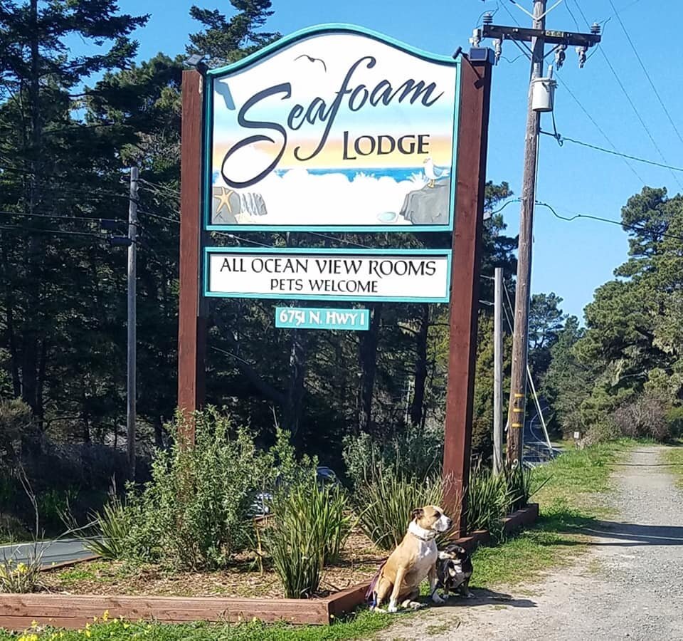 SEAFOAM LODGE (Little River, CA): opiniones, comparación de precios