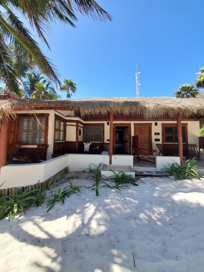 live tulum reviews