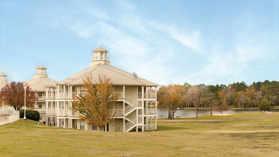 hotels piney hotels piney