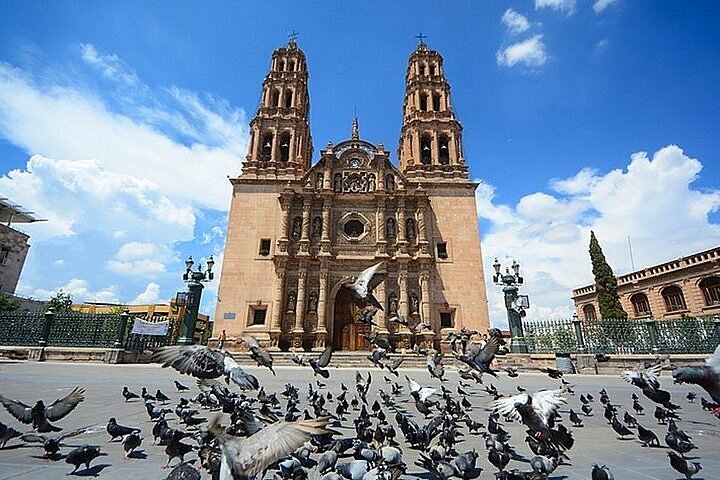 chihuahua city tours