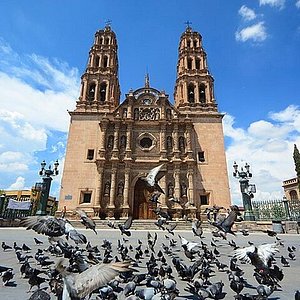 KIMCHICA - COMIDA COREANA, Chihuahua - Restaurant Reviews, Photos & Phone  Number - Tripadvisor