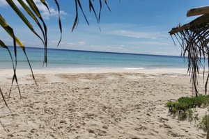Piscina y playa