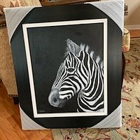 Monochromatic Zebra with beautiful Frame.