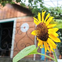 Belezas naturais no entorno da Adesso.