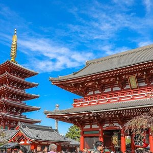 今戸神社 口コミ 写真 地図 情報 トリップアドバイザー