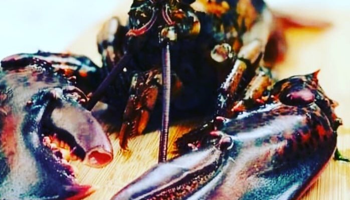 Lobster 