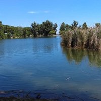 Floyd Lamb State Park (Las Vegas) - All You Need to Know BEFORE You Go