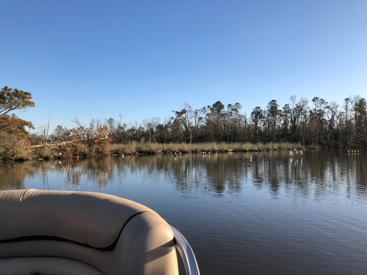 Lake Area Adventures (Lake Charles) - 2022 Qué saber antes de ir - Lo