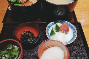 旅行者の写真