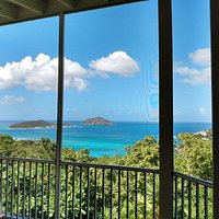view