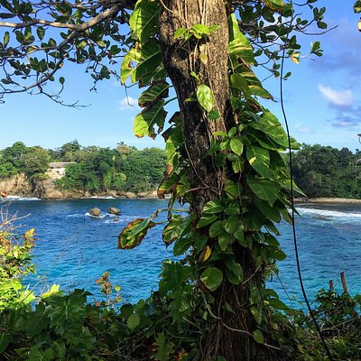 Frenchman's Cove, Jamaica