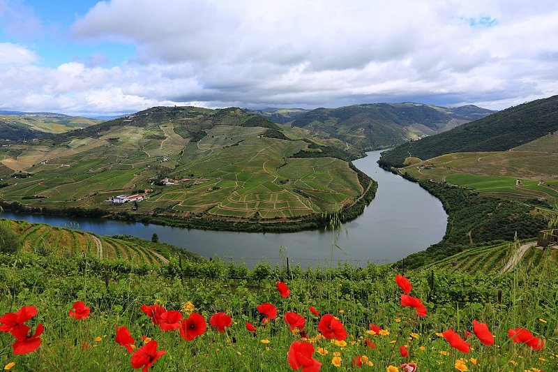 the Douro Valley