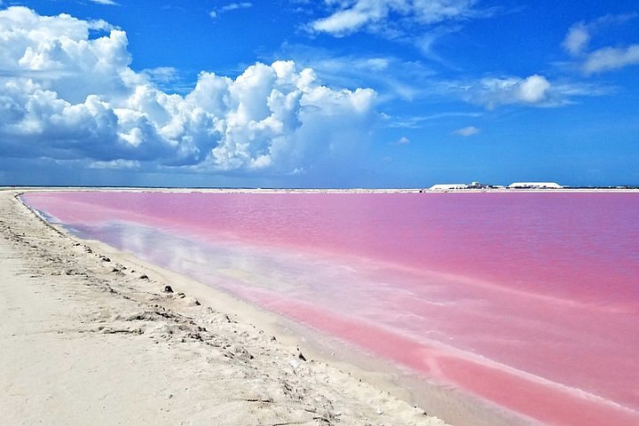 pink lake mexico tour from cancun