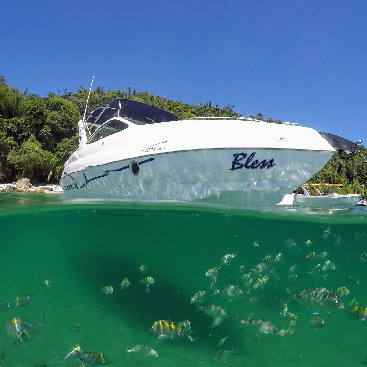 Lancha Bless Angra Dos Reis 2023 Qué Saber Antes De Ir Lo Más Comentado Por La Gente 