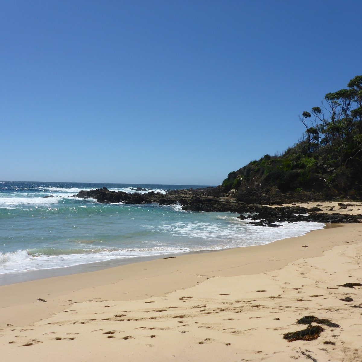 BARRAGGA BAY BEACH (2024) All You Need to Know BEFORE You Go (with Photos)