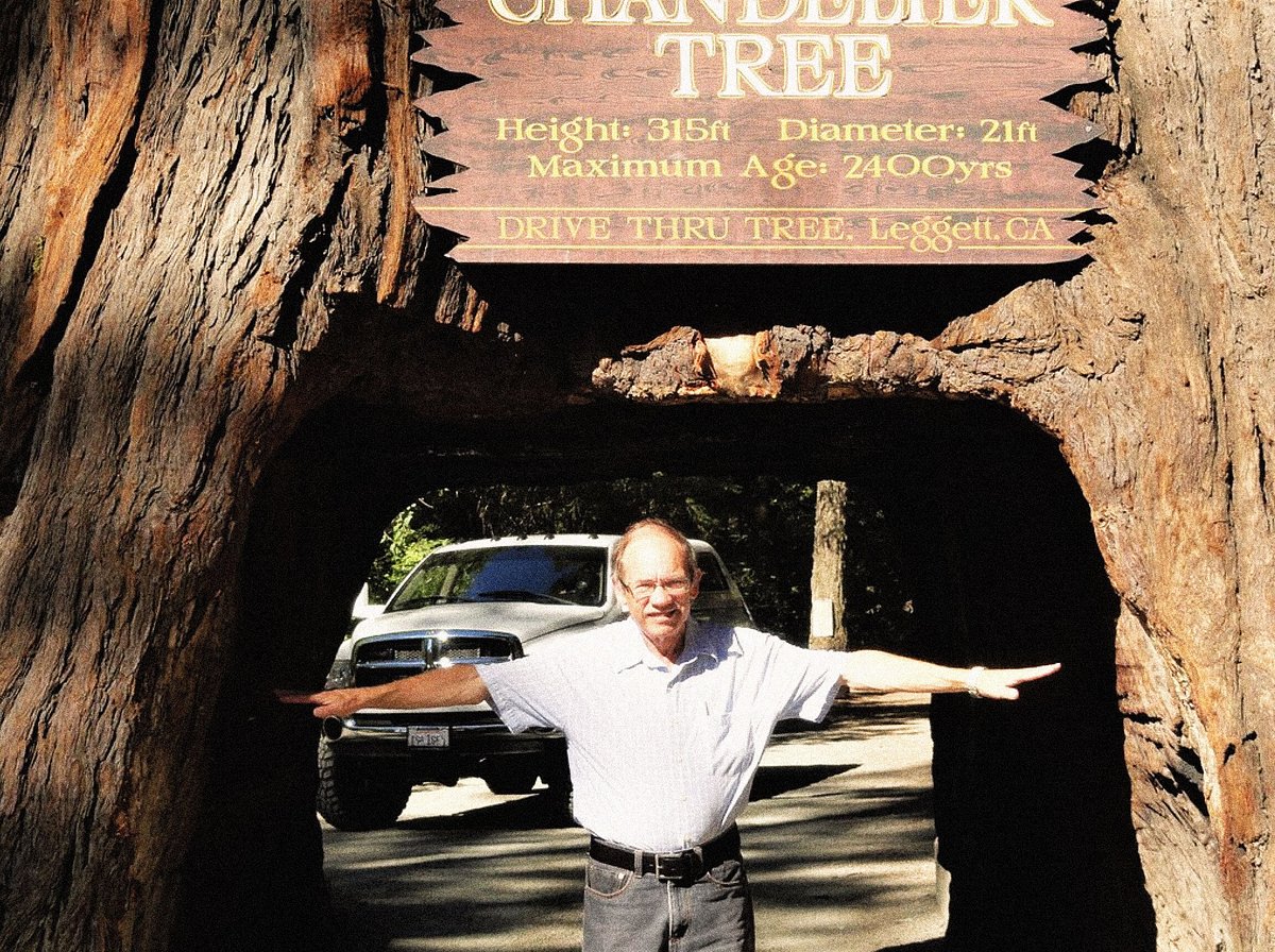 Man with glasses standing with arms spread apart under the Chandelier Tree