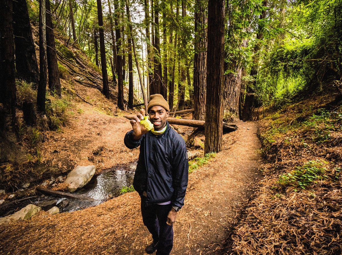 A man is standing in the forest, holding an apple.