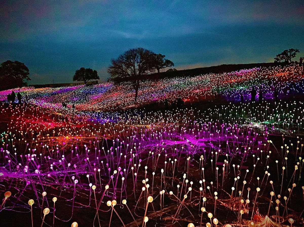 A field of multicolored lights that are part of an art installation