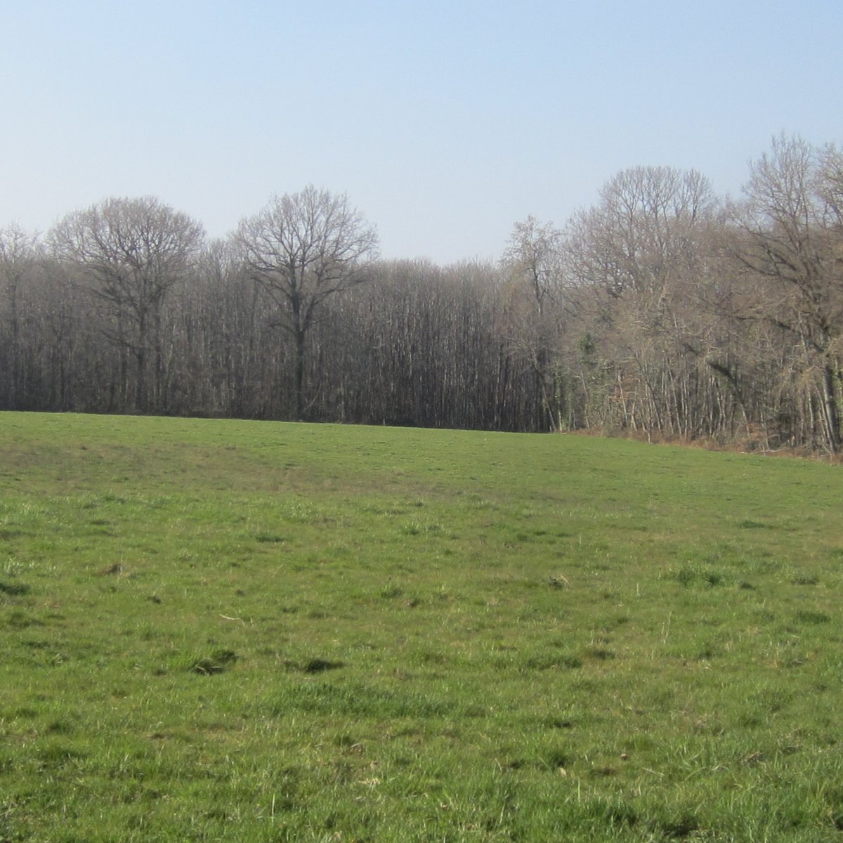 Dolmen Du Bois Plantaire (Orsennes) - All You Need to Know BEFORE You Go