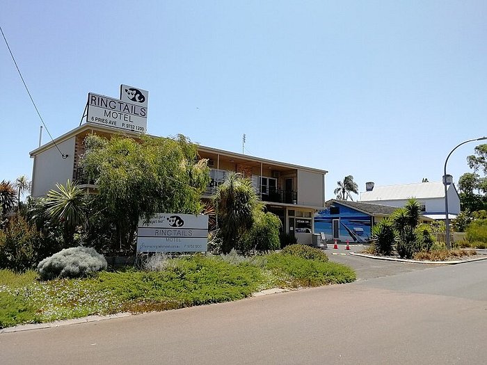 Ringtails Motel Ringtails Motel