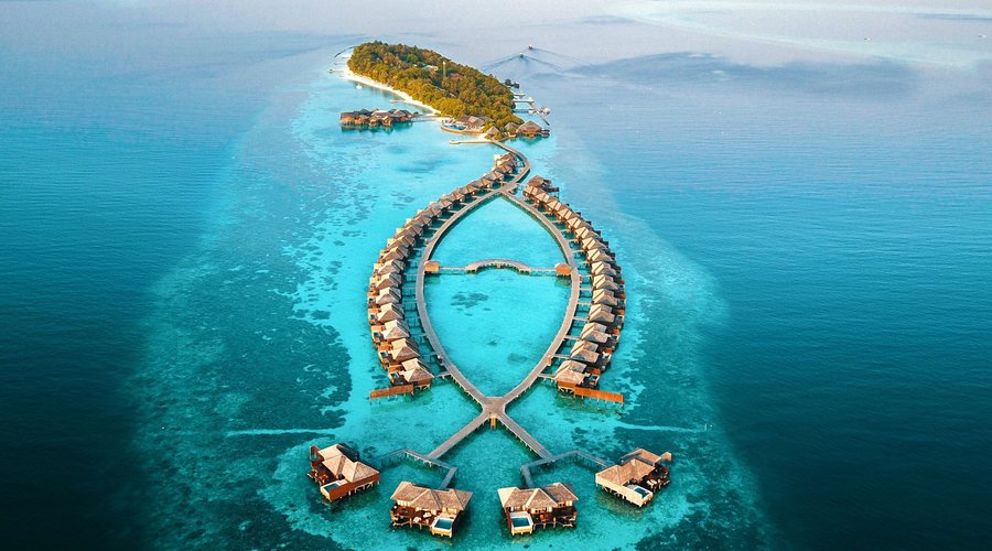 Aerial Photo of Lily Beach