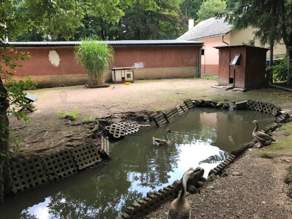 Tiergehege im Sahn Park (Crimmitschau) 2022 Alles wat u moet weten