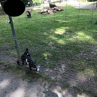 Tiergehege im Sahnpark mino zoo Crimmitschau