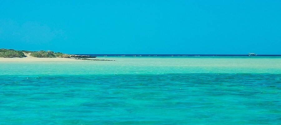 Umluj, a superb place in Saudi. You can see 4 different colors of sea water. Get a boat ride and explore the beauty. I bet everyone loves it.