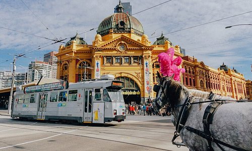 2021: Best of Melbourne, Australia Tourism - Tripadvisor