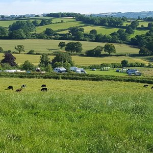 View over the campsite