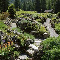Jardin botanique alpin Pont-de-Nant La Thomasia à Les Plans-sur-Bex (Vaud)