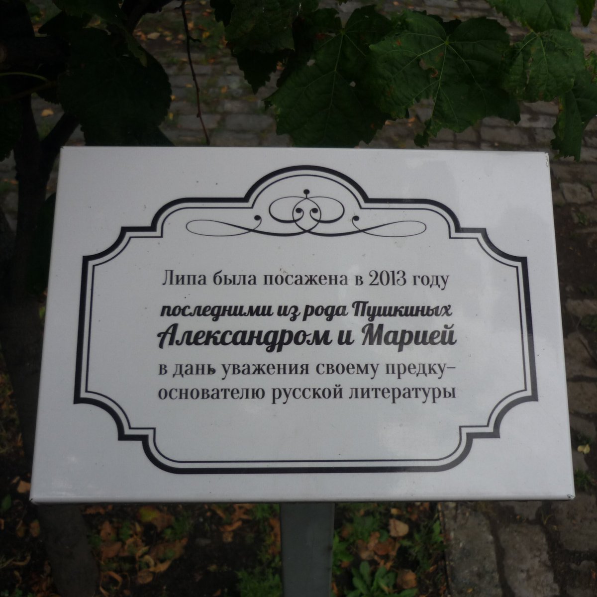 Дк пушкина пермь